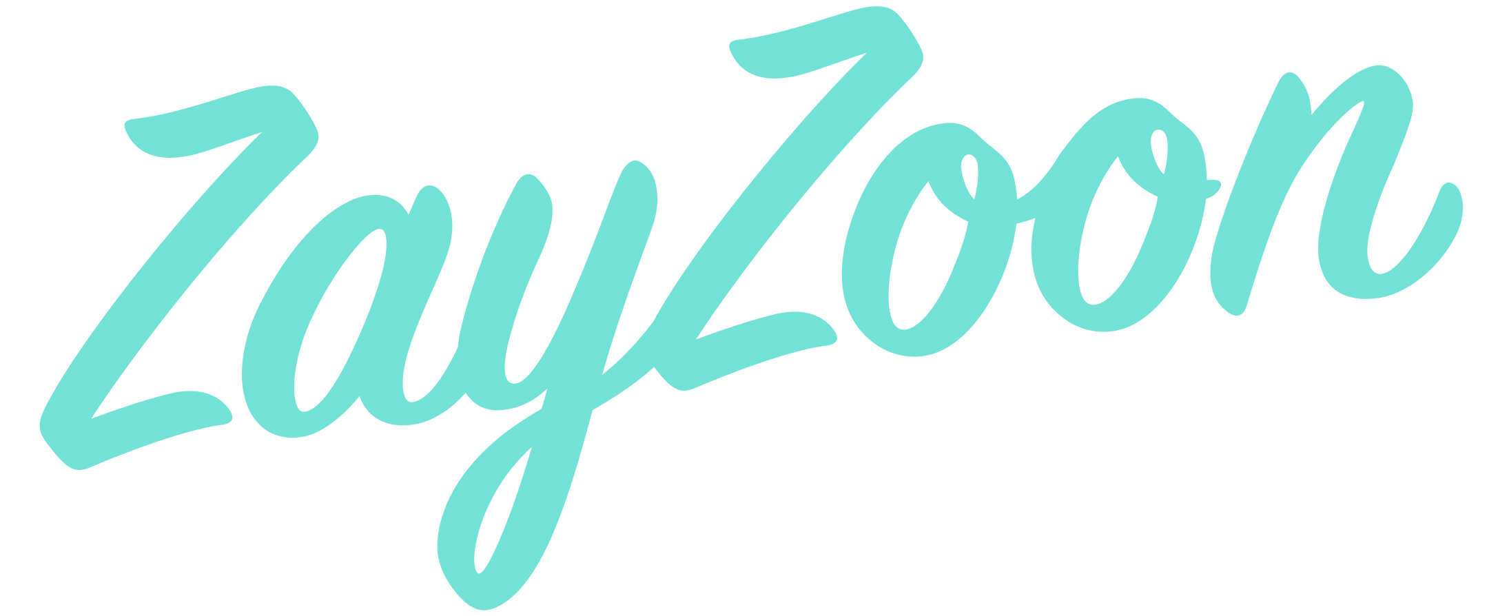 ShopZayZoon
